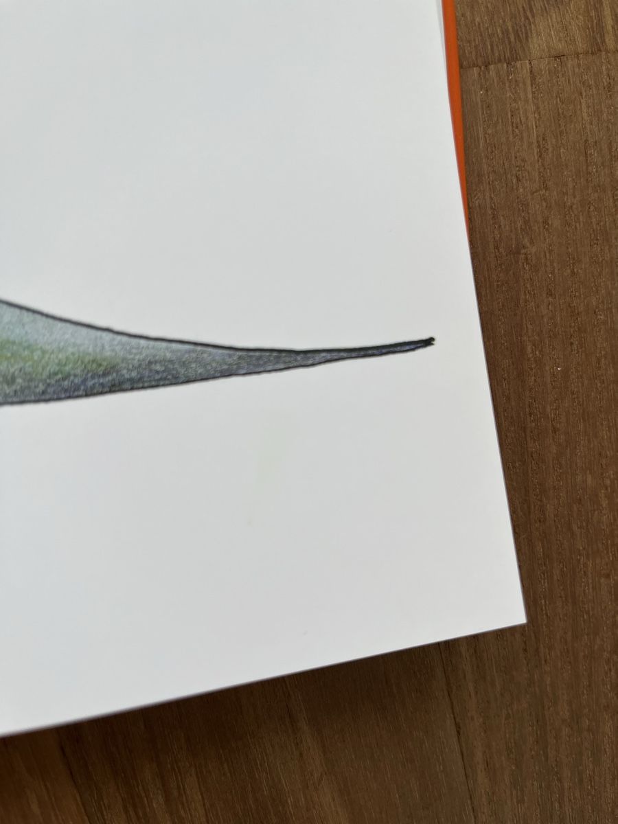 Libri: Buch- Dino zeigt Gefühle – Usato da Luzern venduto da Aldabema 8