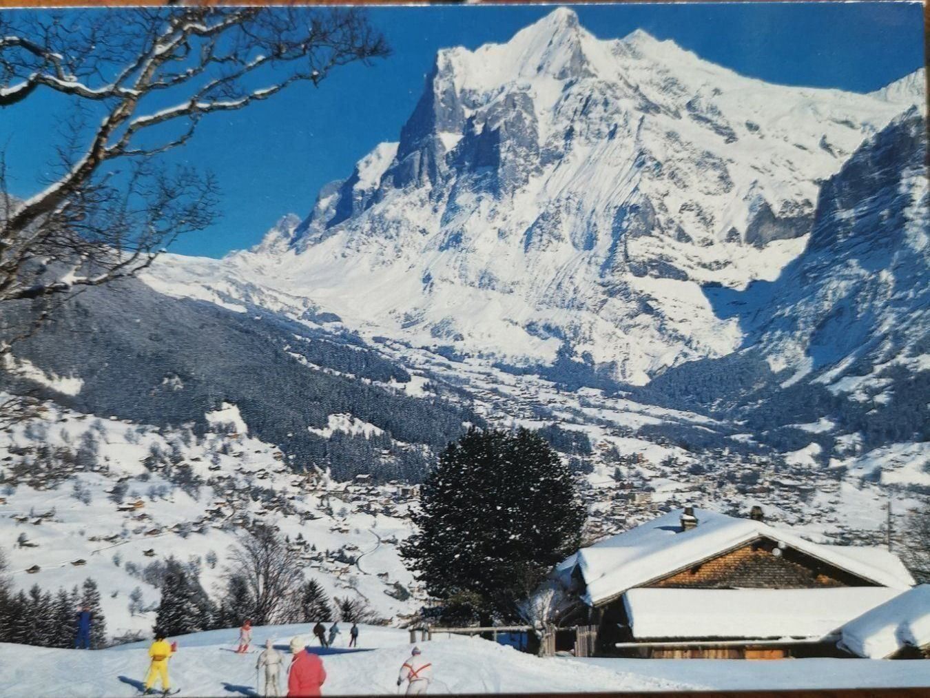 Cartoline postali: Ansichtskarte Grindelwald 1988 – Usato da Dintikon venduto da Vexi