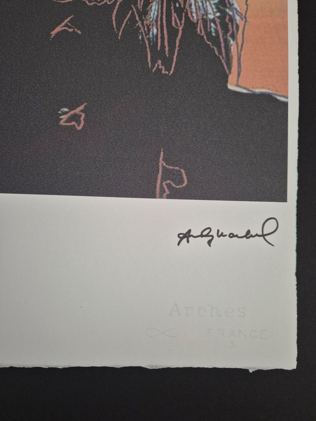 Foto & Immagini: Andy Warhol, Eagle 37/100 – Usato da Staufen venduto da saerdna81 2