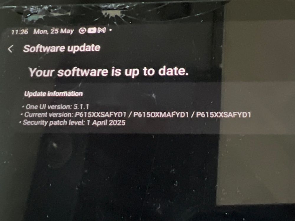 Samsung Tablet PC: Samsung Galaxy Tab S6 Lite 64GB - LTE – Difettoso da Mülligen venduto da vagos85 4