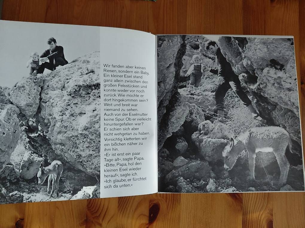 Bücher: Mein Esel Benjamin/Der Regenbogenfisch stiftet Frieden. – Gebraucht aus Zollikerberg von Inhal 2