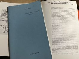 buch, 2 hefte über robert walser, der sanfte trug,kritische