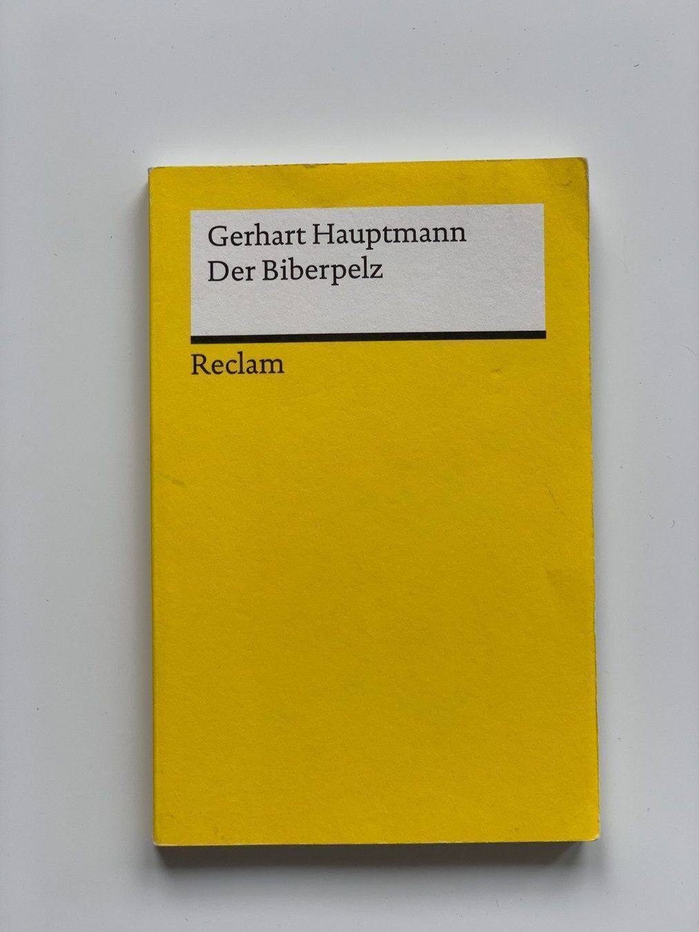 Bücher: Der Biberpelz – Gebraucht aus Regensdorf von TedK