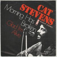 Cat Stevens - Morning has broken 7" Vinyl 1971