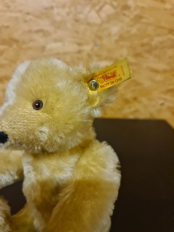 Steiff Jouets: Alte Steiff Teddy Bär – D'occasion à Ibach par Hfedier 2