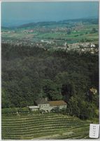 Flugaufnahme Restaurant Goldenberg