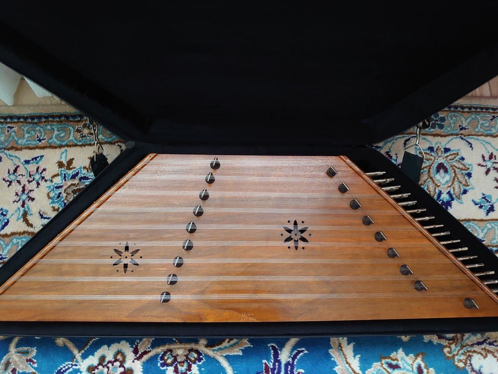 Qualitäts Santour mit Hartschalte und Zubehör Kaufen auf Ricardo