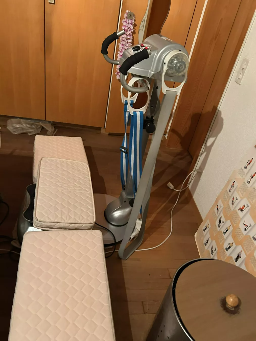 Hometrainer: Zhendong Heimtrainer – Usato da Erlenbach ZH venduto da helenoliva58 1