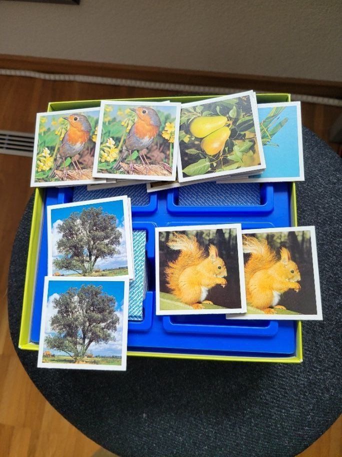 Giochi: Memory Natur für Kinder geeignet – Usato da Altdorf UR venduto da Nordwing 2