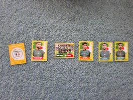 Panini 2026 ALG 1/6/13/14/15/20
