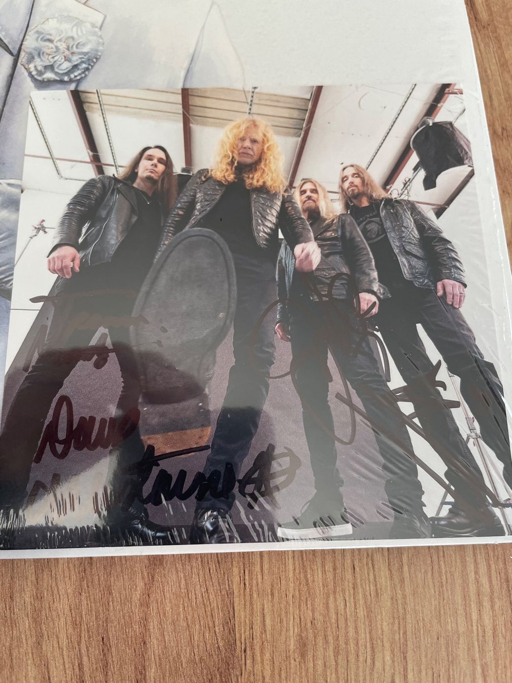 Dischi in vinile: Megadeth - Same Vinyl Red/Blue Ghostly Lp Signiert – Usato da Endingen venduto da Oermi 1