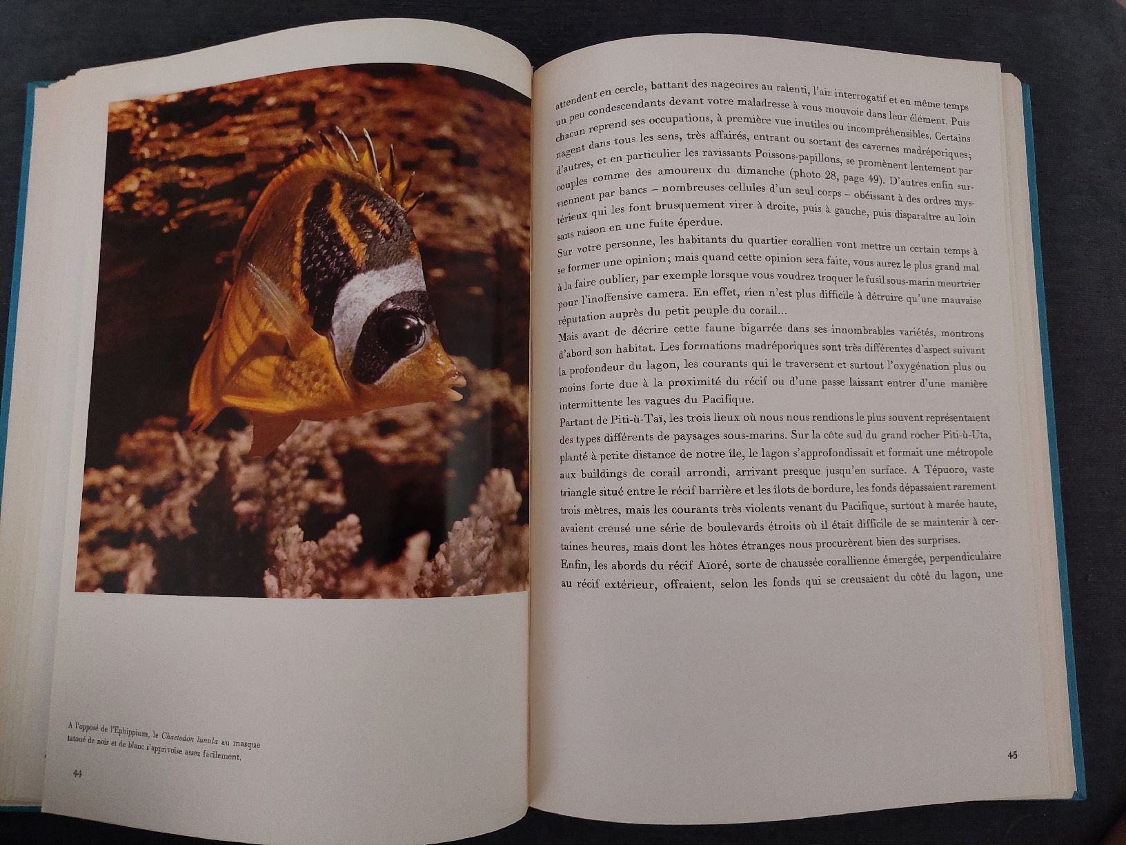 Libri: Paradis sous-marins du Pacifique – Usato da Yverdon-les-Bains venduto da pri_x6j6 6