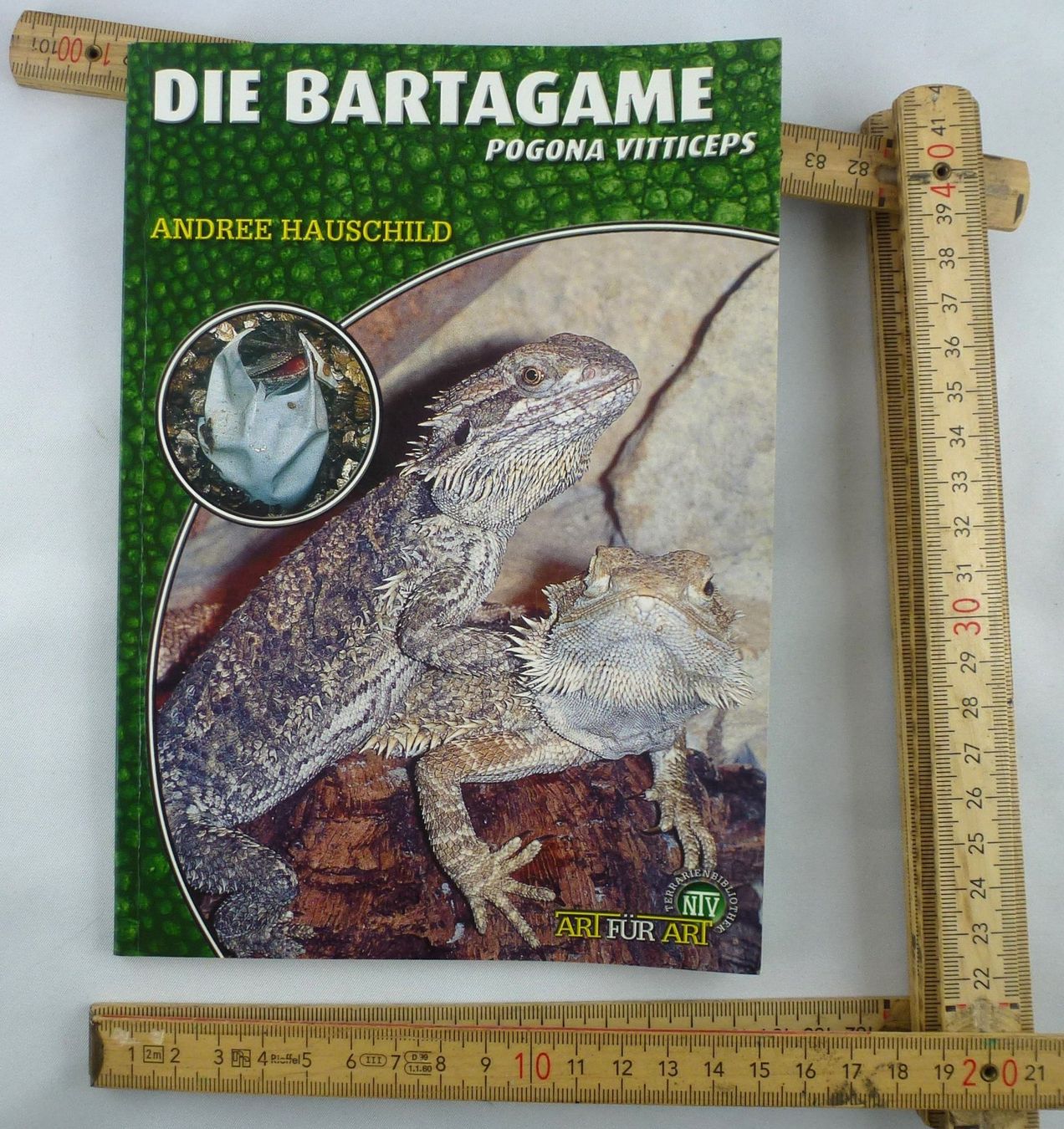 Libri: Die Bartagame Pogona Vitticeps – Usato da Murgenthal venduto da B.StM