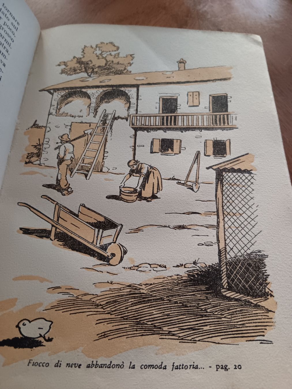 Bücher: altes Kinder Buch – Gebraucht aus Ambrì von Maerz87 4