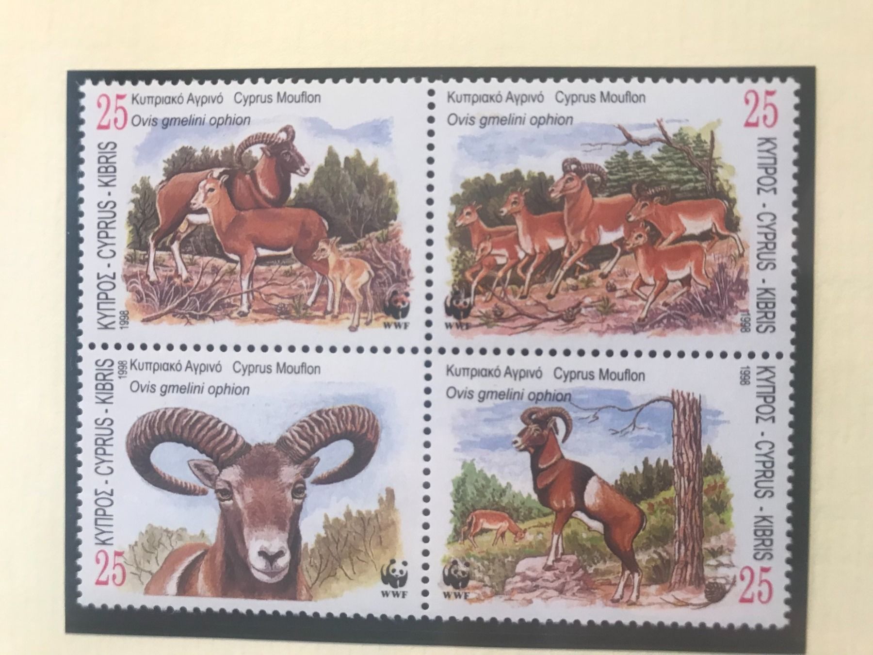 Tutti i francobolli: Zypern 1998 WWF Satz 4er-Block Mufflon postfrisch – Nuovo (secondo la descrizione) da Liestal venduto da schnueps