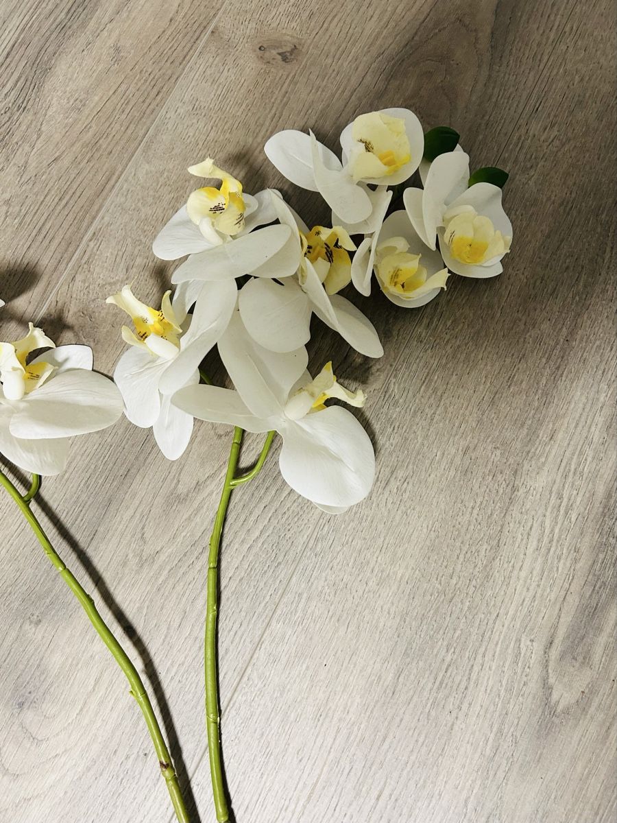 Alle Dekorationen: 2 Kunst Orchideen weiss, inkl. Vase – Gebraucht aus Gunten von starfish3 4