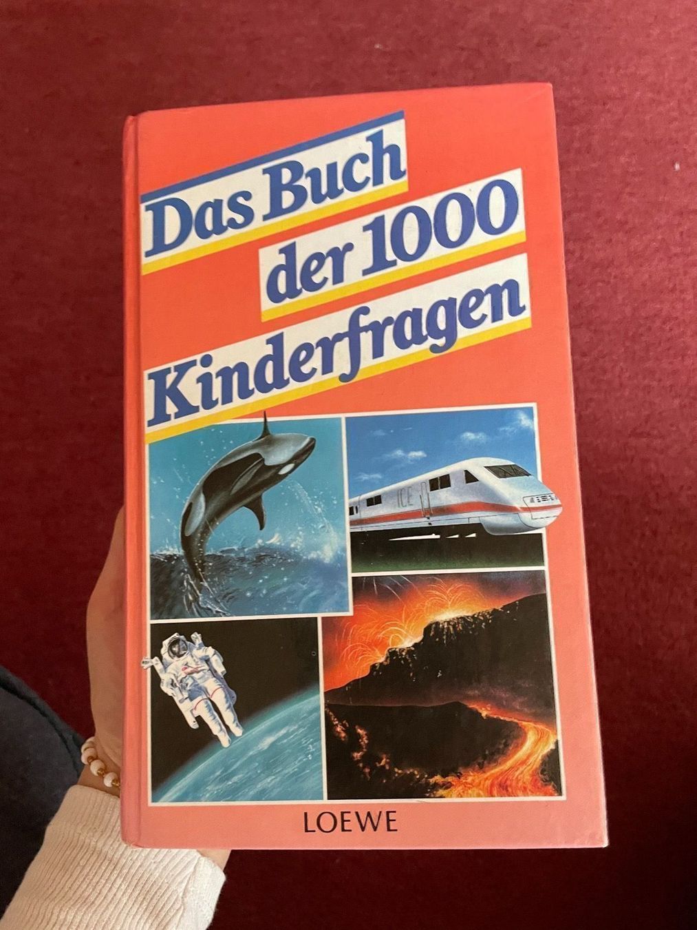 Libri: Das Buch der 1000 Kinderfragen – Usato da Krummenau venduto da apuscha30