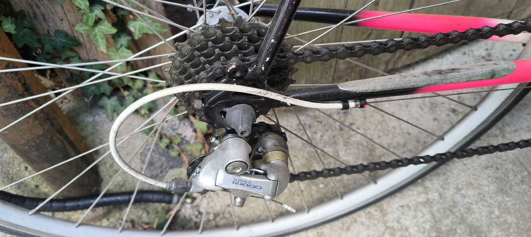 Mondia Biciclette: Rennrad Mondia Winner Vintage – Usato da Wädenswil venduto da M_Gee 7
