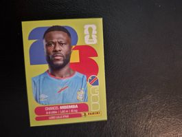 Panini WM 26 COD 6