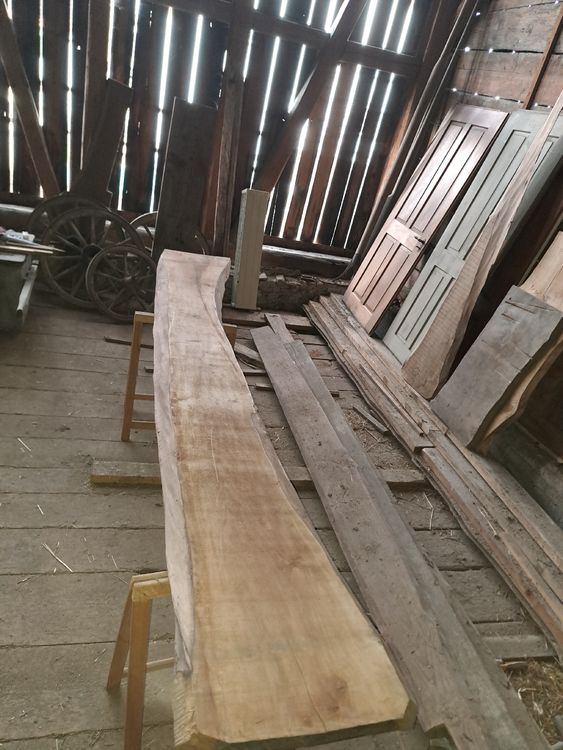Articoli in legno: Massives Nussbaumholz Unikat Brett 345 Rarität! – Usato da Ottenbach venduto da Ponto1 2