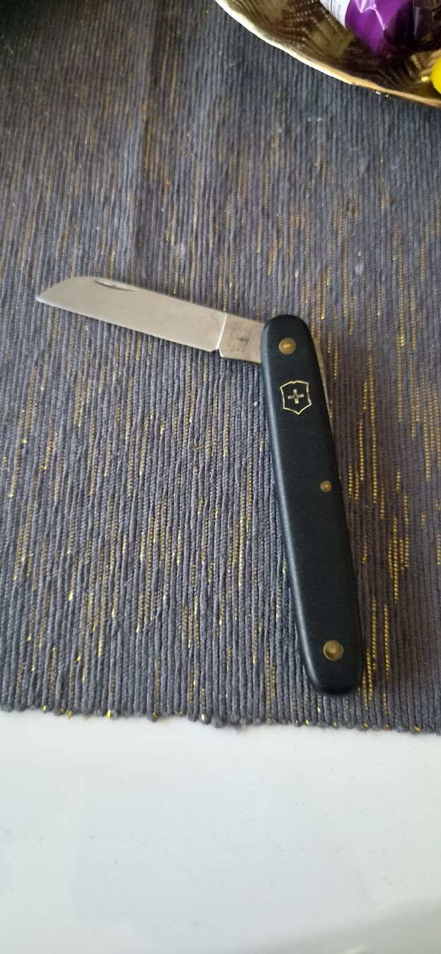 Victorinox Couteaux de poche: Victorinox – D'occasion à Bern par BullseyeCH