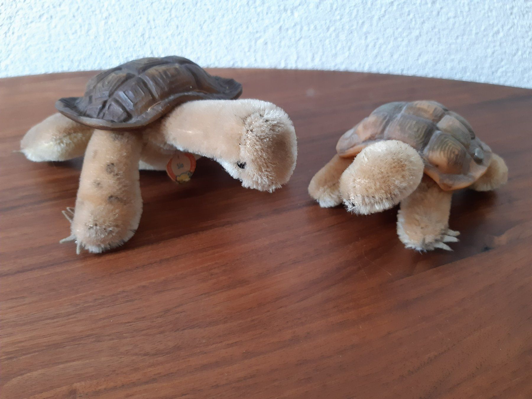 Steiff Giocattoli: Steiff 2 Schildkröten Gross und Klein – Usato da Aadorf venduto da Merlin111