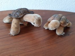 Steiff 2 Schildkröten Gross und Klein