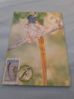 Carte postale oiseau rare et timbre, Venda, 1984. Unique!