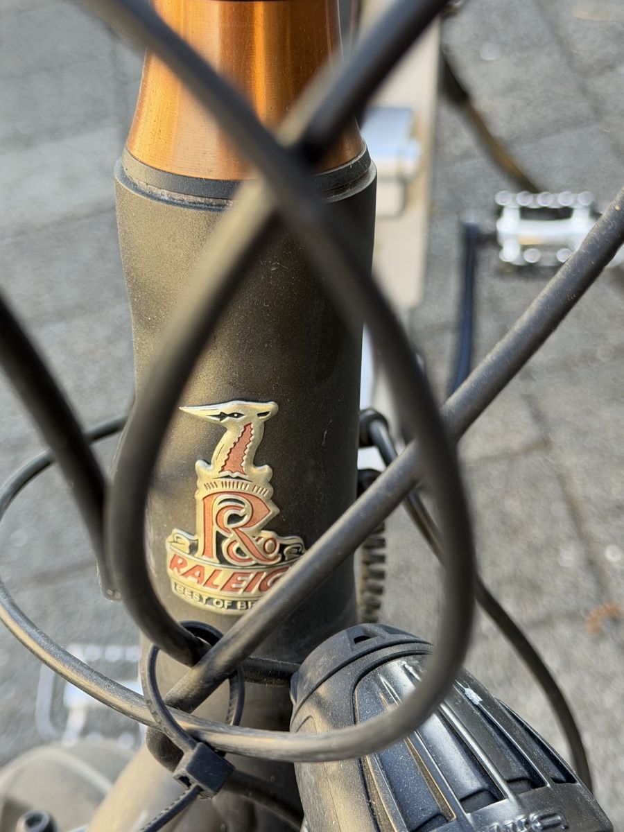 Raleigh Biciclette: Raleigh Dover E-Bike – Usato da Zofingen venduto da giu_p72q 3