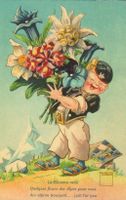 Minouvis, Senn, Blumen, Liebe, Edelweiss, Humor