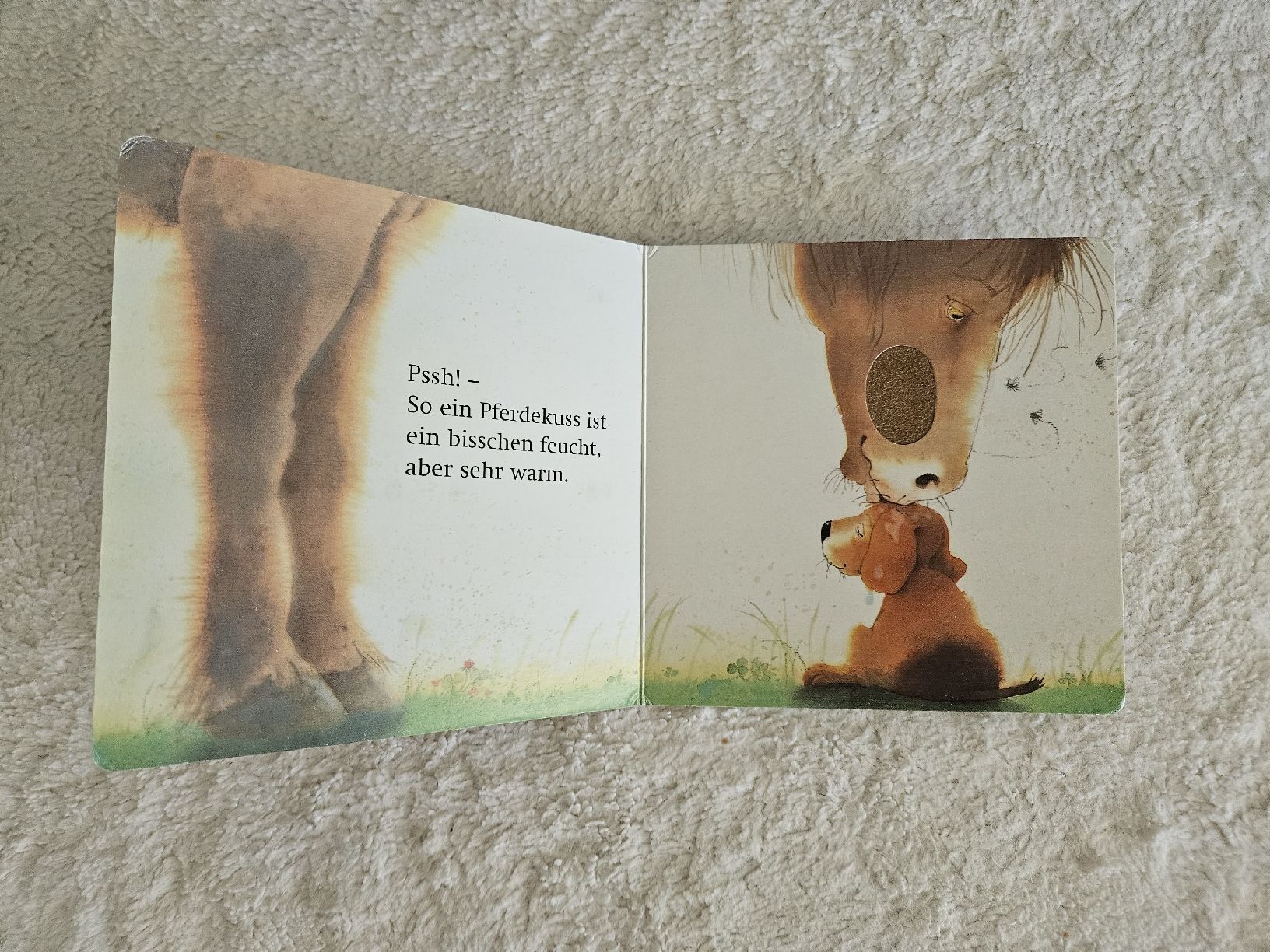 Libri: Baby Fühlbuch "Noch ein Kuss" – Usato da Zürich venduto da Kris8050 5