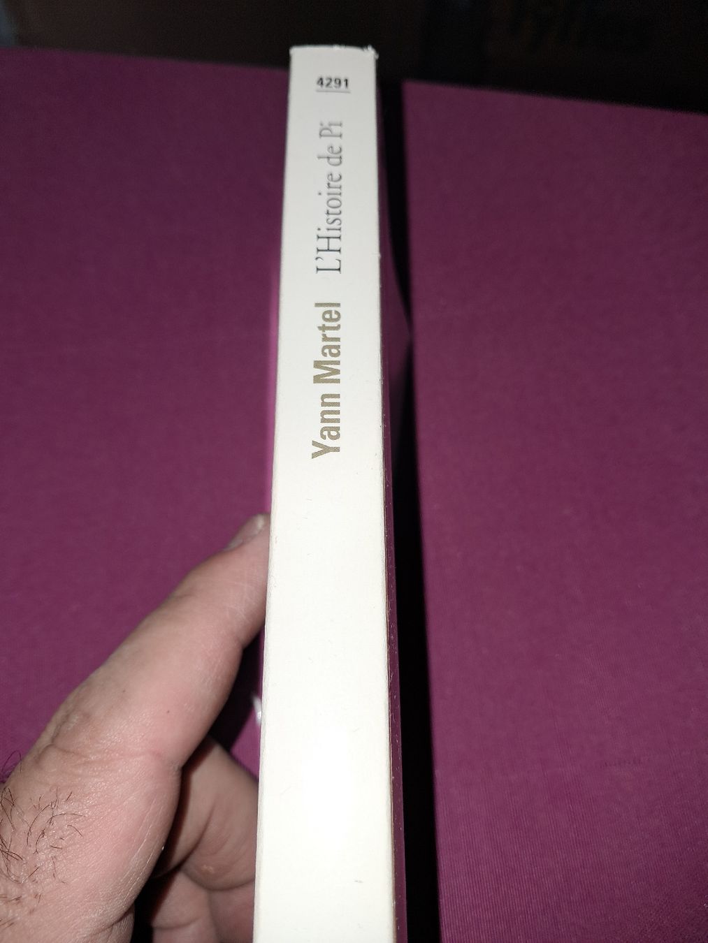 Bücher: Yann martel l'histoire de pi – Gebraucht aus Le locle von juliensaran 3