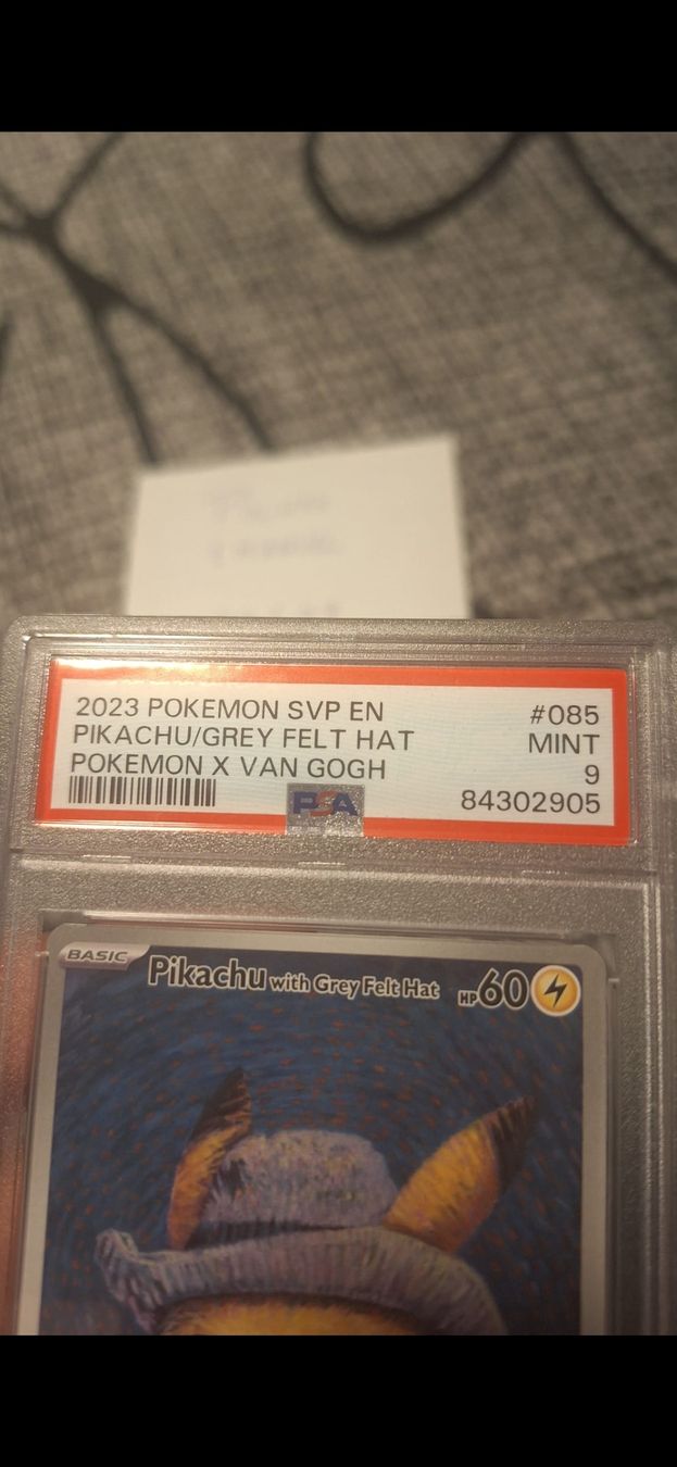 Pokémon Cartes à collectionner: pikachu grey van gigh – Neuf (Voir description) à Wald ZH par J_11 1
