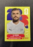 Panini FIFA Card Tim Payne