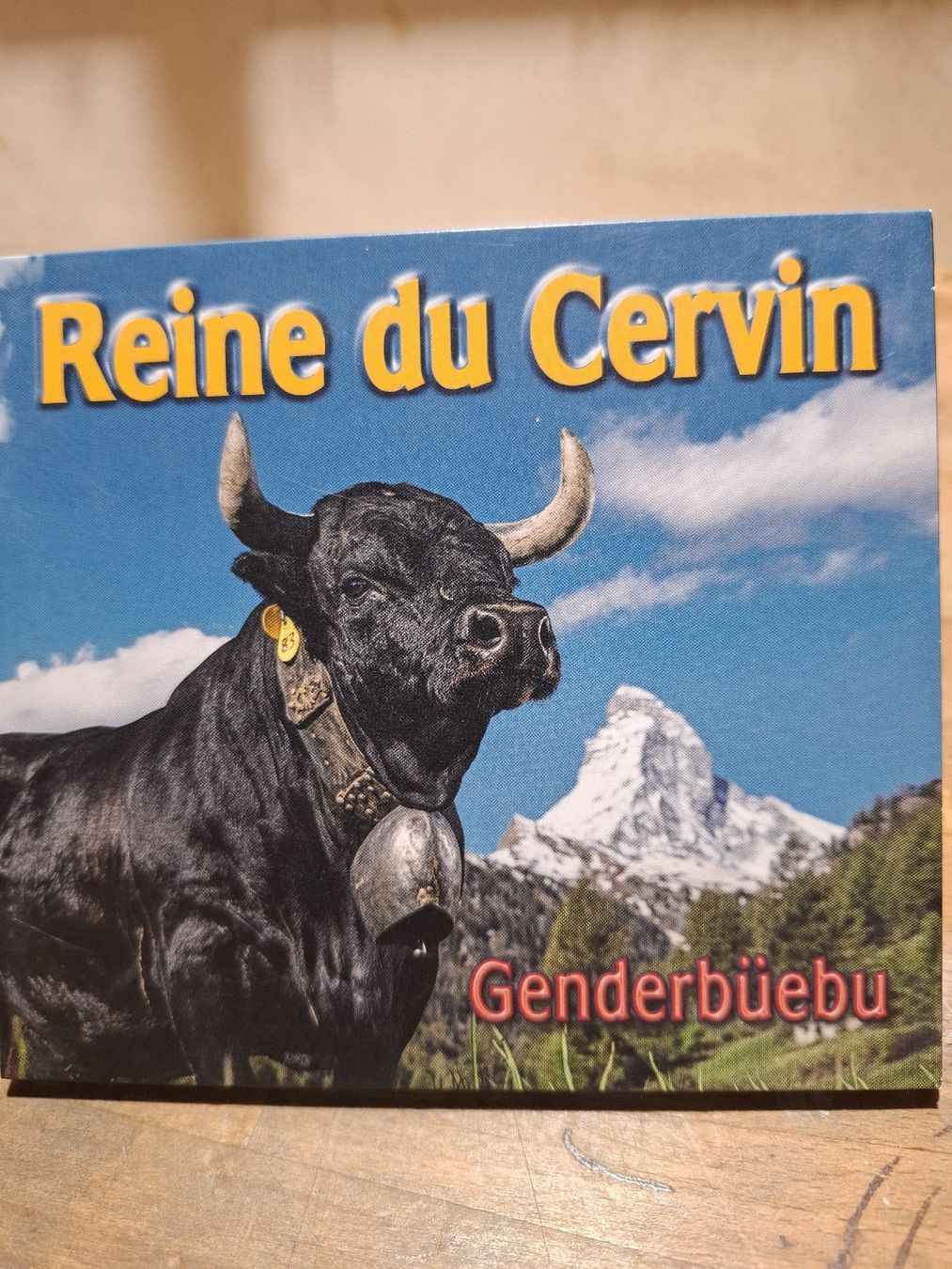 CD: CD Single: Genderbüebu Reine du Cervin – Usato da Flaach venduto da maniv6