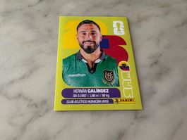 Panini Fifa Fussball WM 2026 Sticker Hernán Galíndez ECU 2