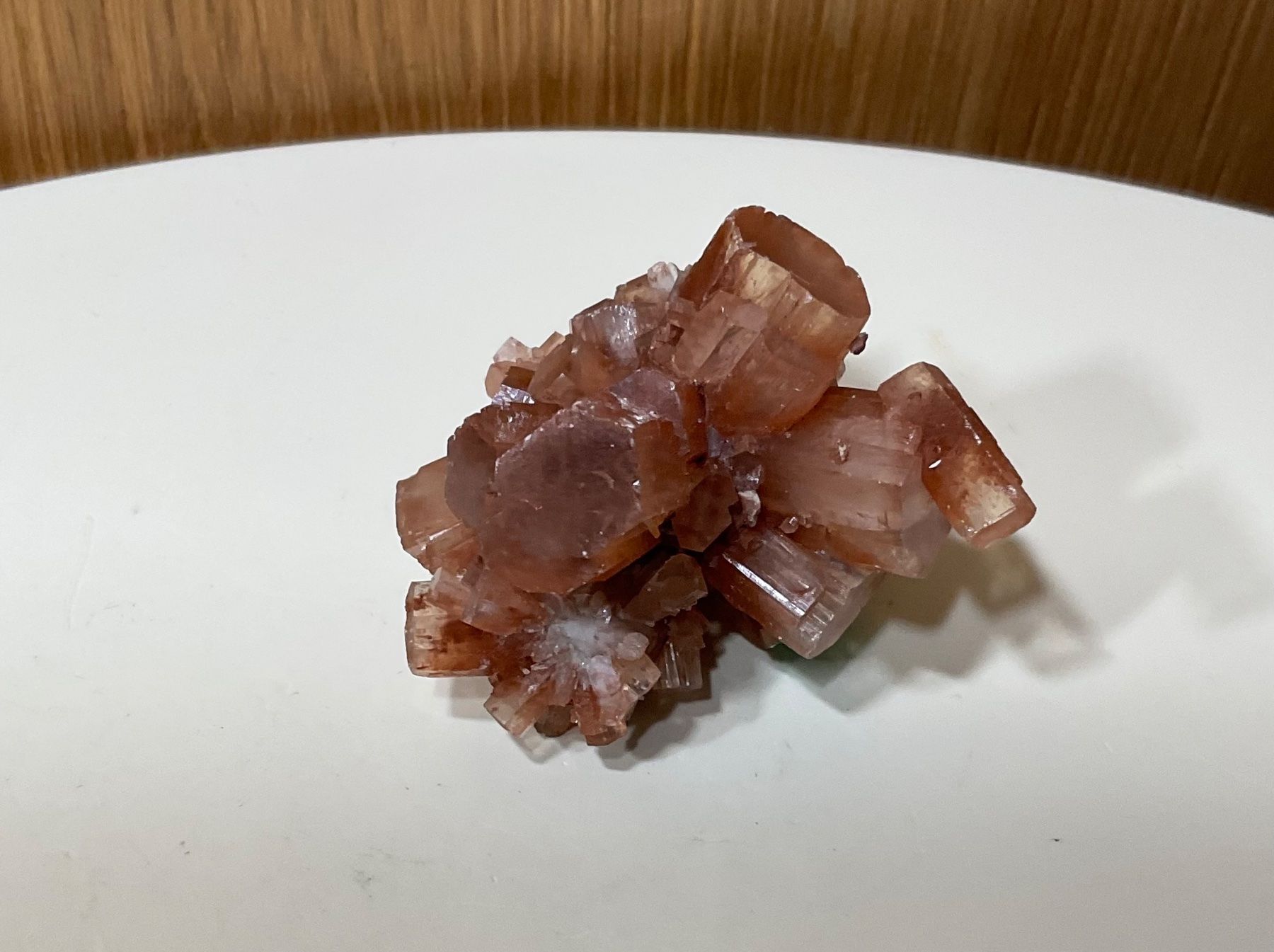 Minerali & Pietre curative: Aragonit Kristall Roh aus Marokko – Nuovo (secondo la descrizione) da Gibswil venduto da BestePreis 6