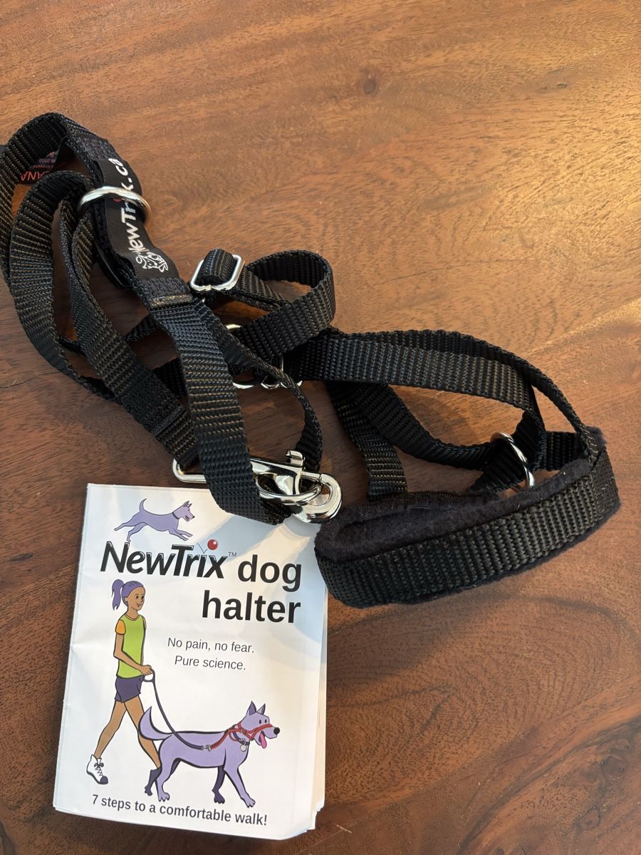 Attrezzatura da arrampicata: Newtrix Hundehalti  schwarz neu – Nuovo (secondo la descrizione) da Frick venduto da luc_ss6w 1