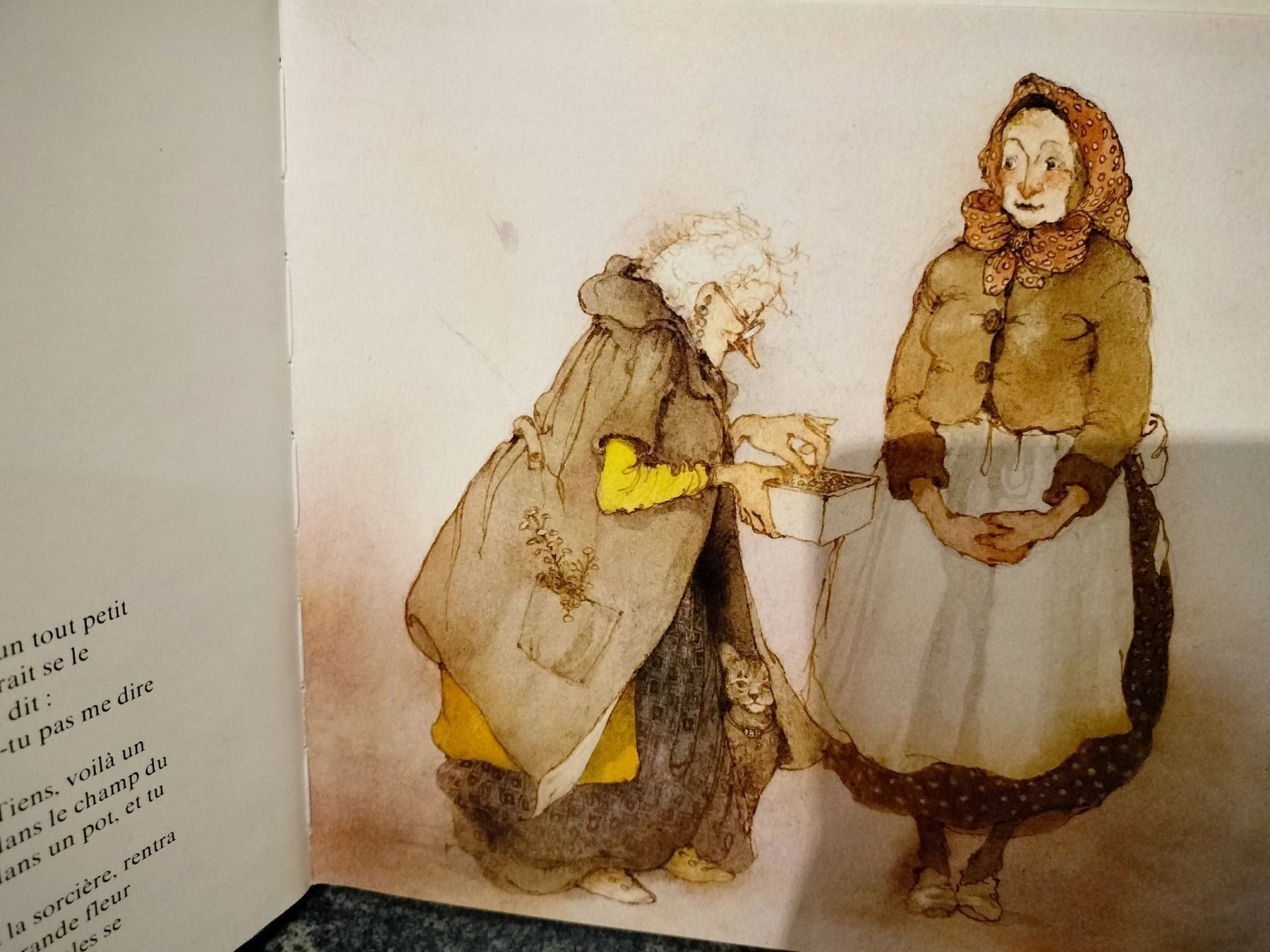 Bücher: POUCETTE un conte d'Andersen illustré par Lisbeth Zwerger – Gebraucht aus Cortaillod von  2