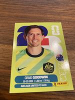Panini Aus 17