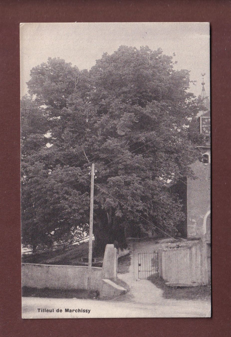 Ansichtskarten: MARCHISSY - Le Tilleul - 1914 – Gebraucht aus Pully von nicecards-shop