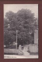 MARCHISSY - Le Tilleul - 1914