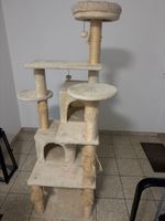 Katzenbaum 