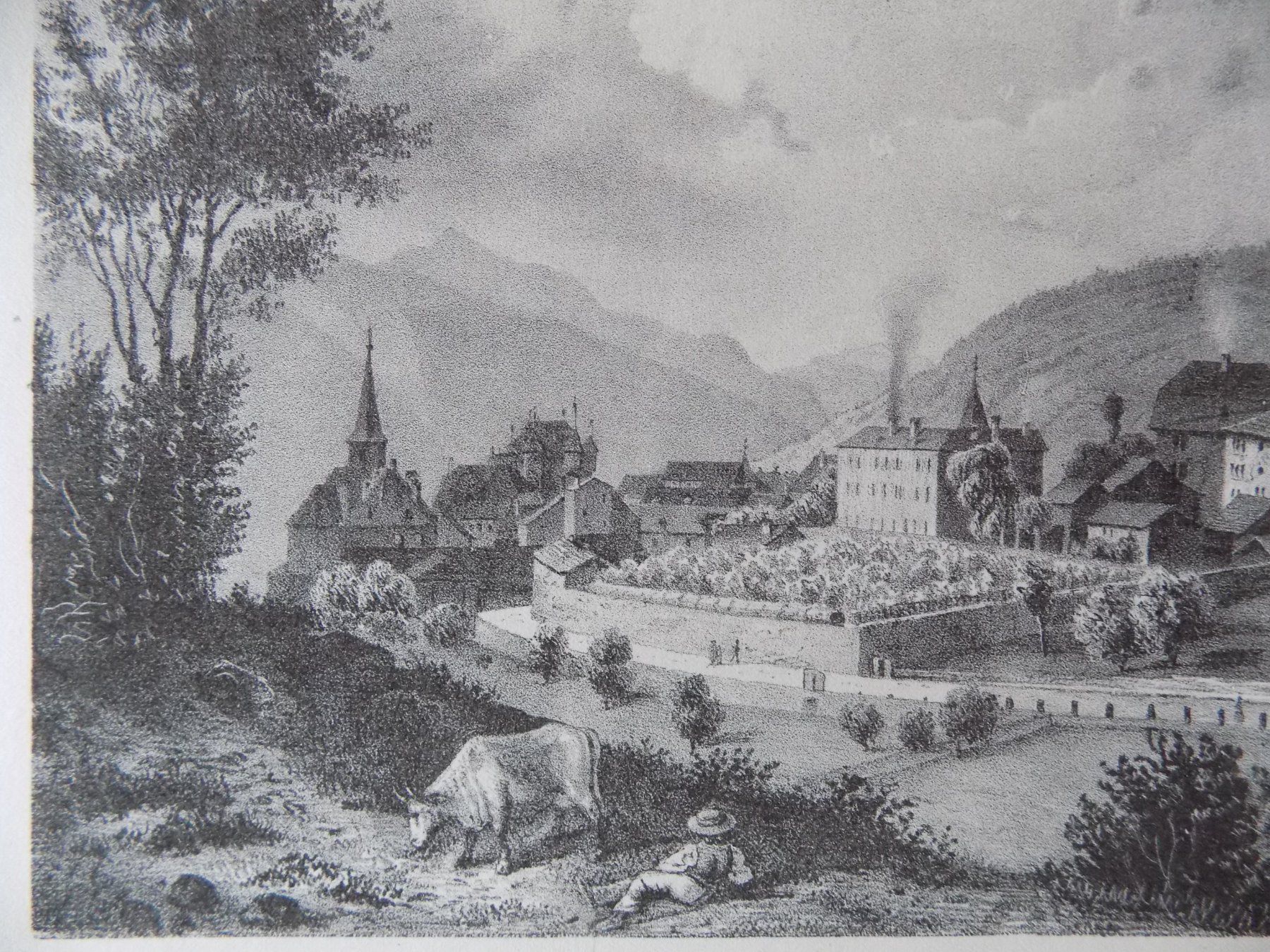 Incisioni: Sierre Siders Kanton Wallis – Usato da Risch venduto da Antikfee 3
