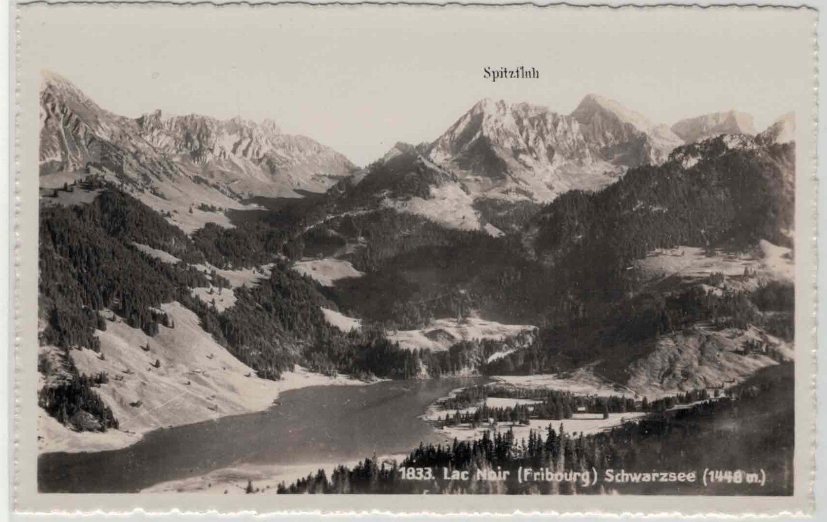 Cartoline postali: FR 72  Lac Noir Schwarzsee Spitzfluh – Usato da Fribourg venduto da philafri