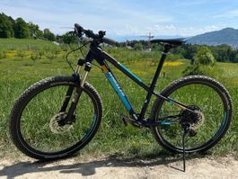 Wheeler Protron 1.7 Mountainbike
