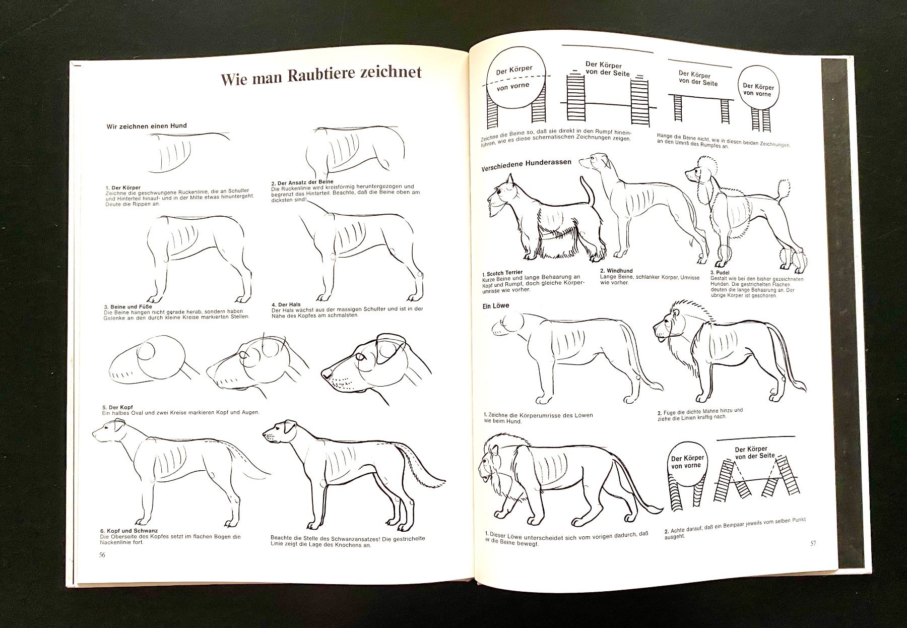 Bücher: RAUBTIERE. WIE SIE LEBEN – Gebraucht aus Nussbaumen AG von schuba2000 7