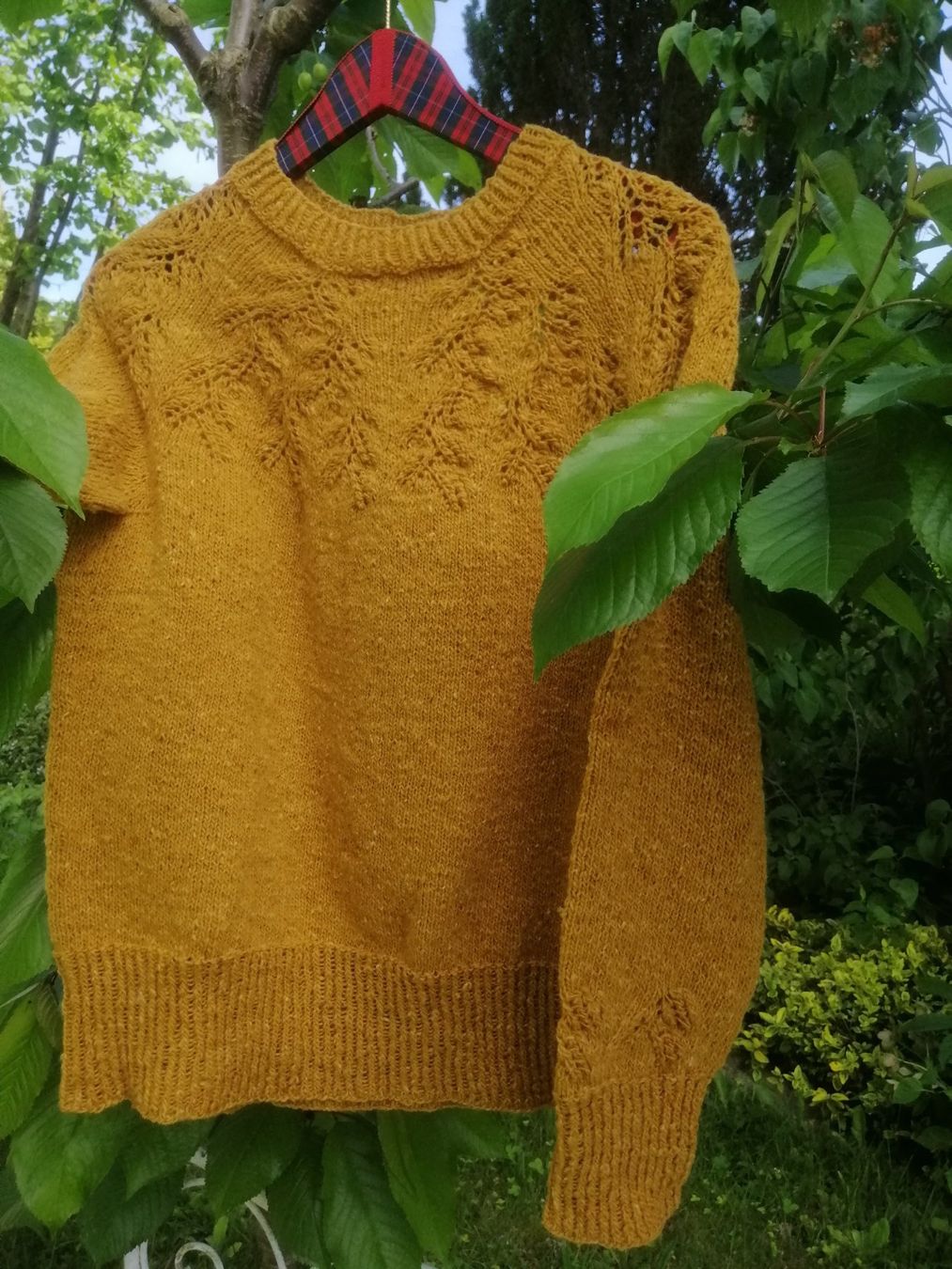 Maglioni & Felpe: Pulli Golden Assam  NEU – Nuovo (secondo la descrizione) da Langenthal venduto da Handstrick 7
