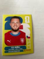 Panini World Cup 2026