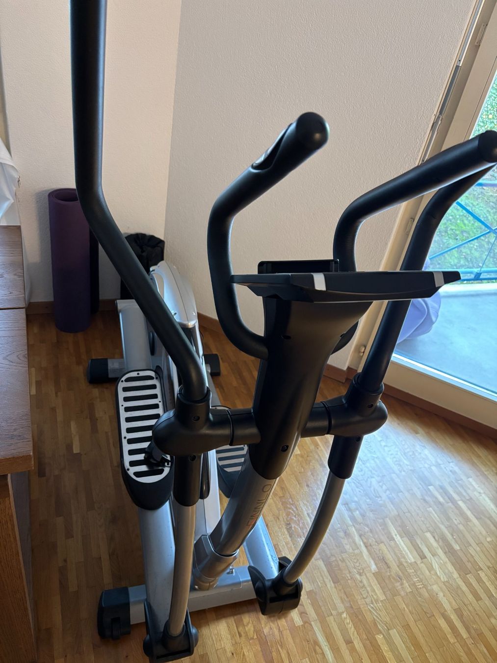 Finnlo Hometrainer: Crosstrainer Loxon Finnlo – Usato da Zürich venduto da braindamageinc 1